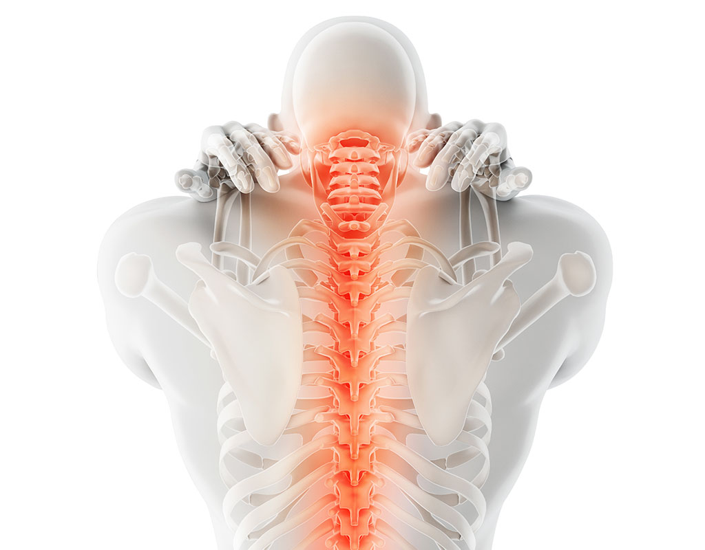 Red spine - sore or injured
